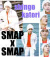 skjo980101.jpg (47478 Ӧ줸)